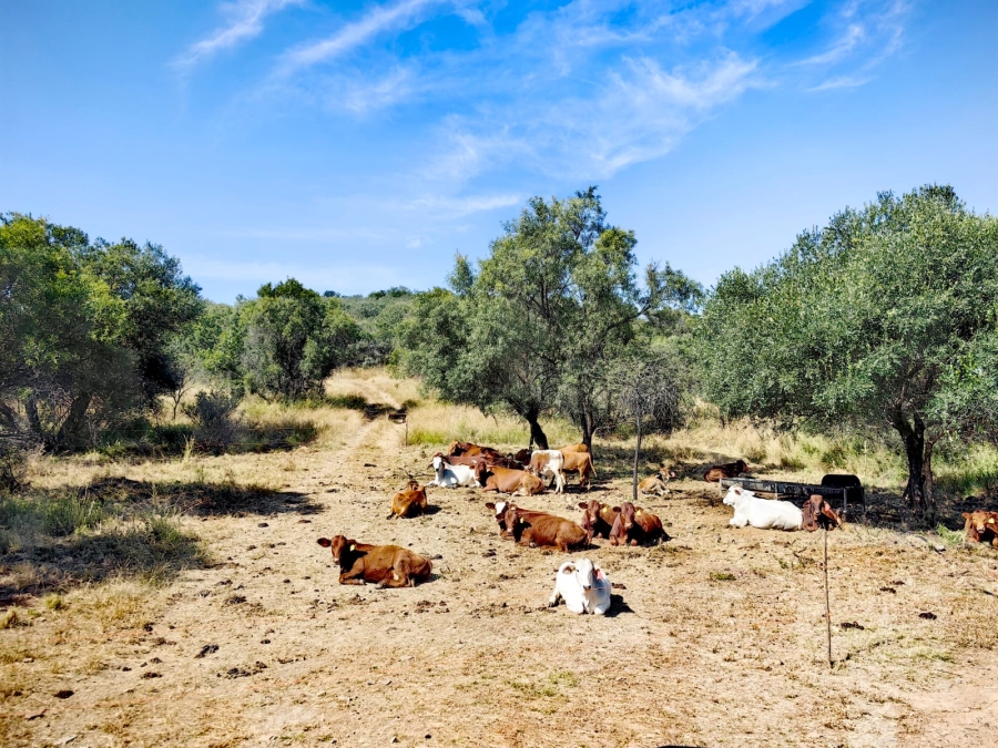Commercial Property for Sale in Rustenburg Rural North West